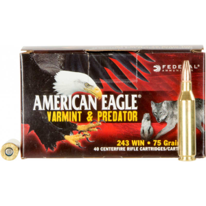 40rd Box Ammo