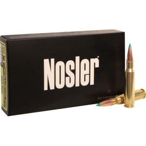 20rd Box Ammo