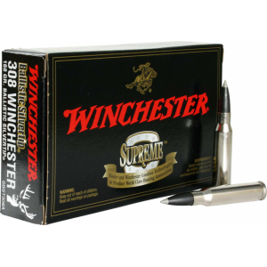20rd Box Ammo