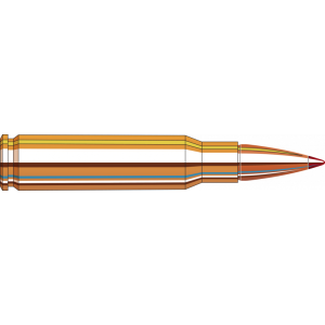 20rd Box Ammo