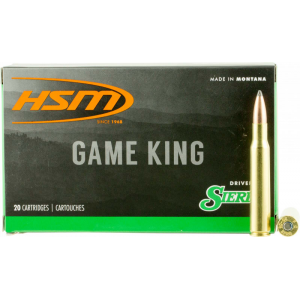 20rd Box Ammo
