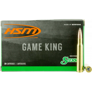 20rd Box Ammo