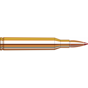 20rd Box Ammo
