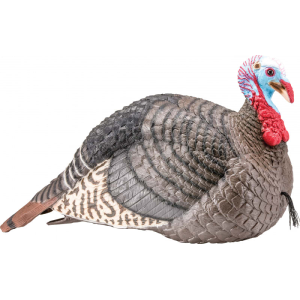 Hunters Specialties Hunters Specialties 100003 Strut-lite Jake Turkey Decoy - $48.58 at Classic Firearms
