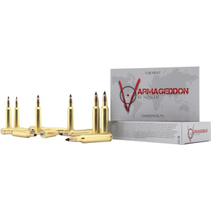 20rd Box Ammo