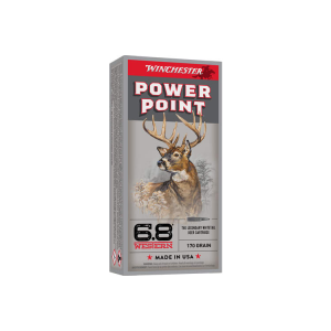 20rd Box Ammo