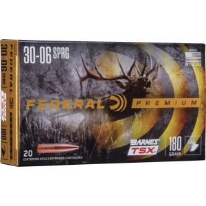 20rd Box Ammo
