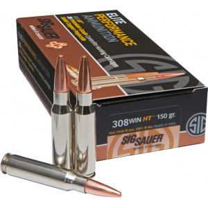 20rd Box Ammo