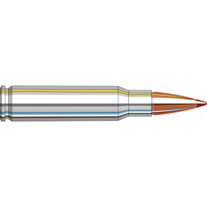 20rd Box Ammo