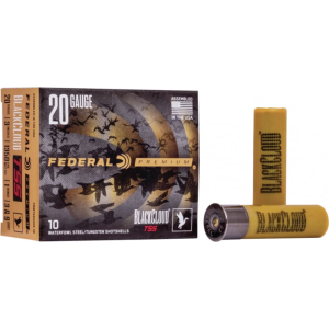 10sh Box Ammo