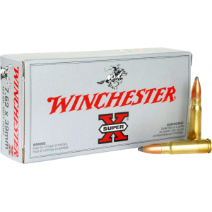 20rd Box Ammo