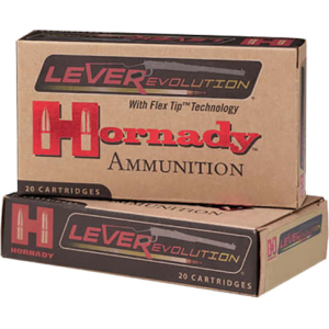 20rd Box Ammo
