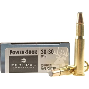 20rd Box Ammo