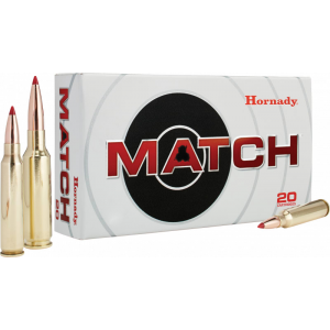 20rd Box Ammo