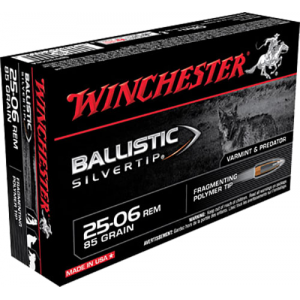 20rd Box Ammo
