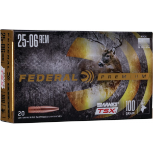 20rd Box Ammo