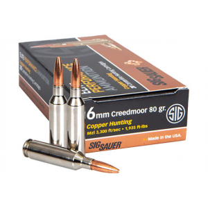 20rd Box Ammo