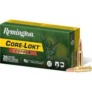 20rd Box Ammo