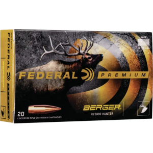20rd Box Ammo