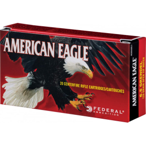 20rd Box Ammo