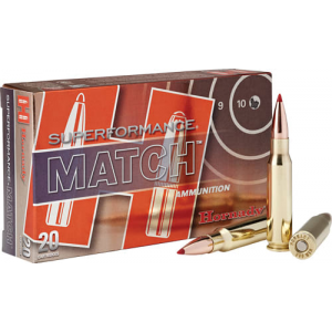 20rd Box Ammo