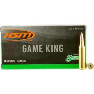 20rd Box Ammo