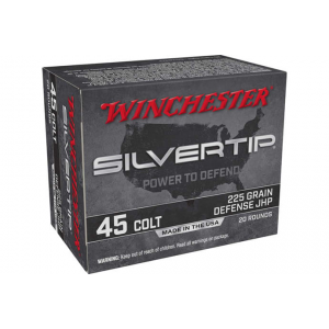20rd Box Ammo