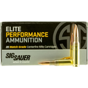 20rd Box Ammo