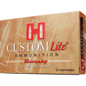 20rd Box Ammo