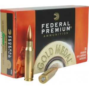 20rd Box Ammo