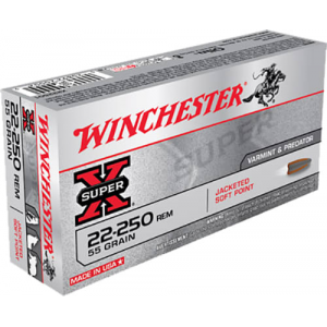 20rd Box Ammo