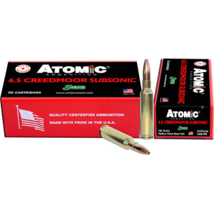 20rd Box Ammo