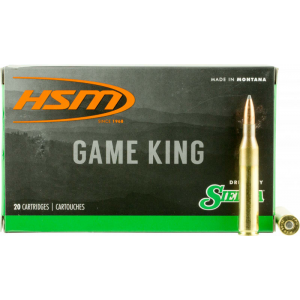 20rd Box Ammo