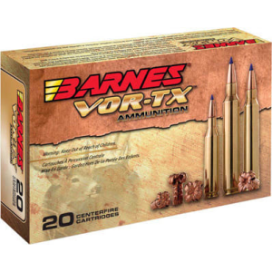 20rd Box Ammo