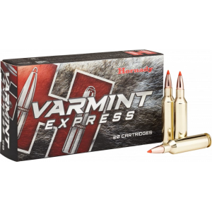 20rd Box Ammo