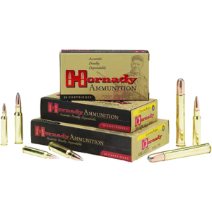 20rd Box Ammo