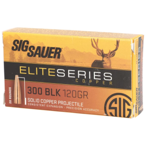 20rd Box Ammo