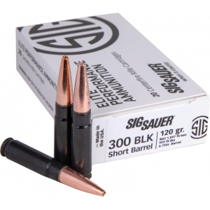 20rd Box Ammo