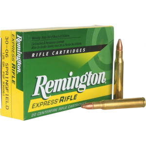 20rd Box Ammo