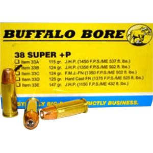 20rd Box Ammo