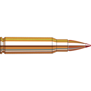 20rd Box Ammo