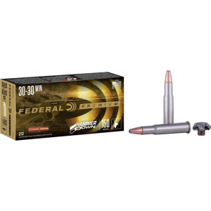 20rd Box Ammo