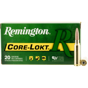 20rd Box Ammo