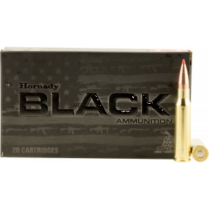 20rd Box Ammo