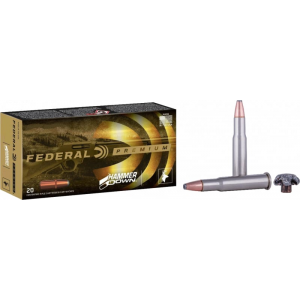 20rd Box Ammo