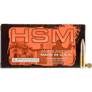 20rd Box Ammo