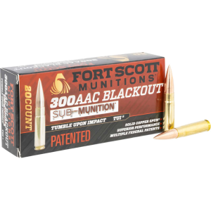 20rd Box Ammo