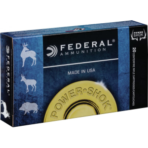 20rd Box Ammo