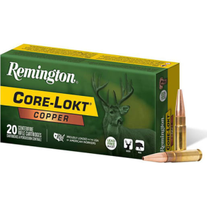 20rd Box Ammo