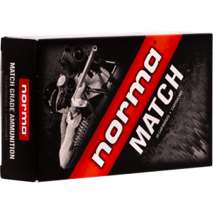 20rd Box Ammo